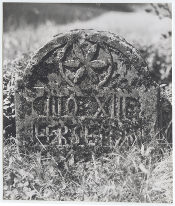 Fotograf: Hickstein, Carmen, Copyright: 1