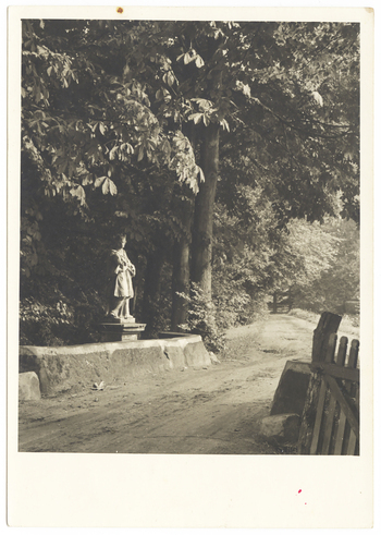 Fotograf: Hickstein, Carmen, Copyright: 1