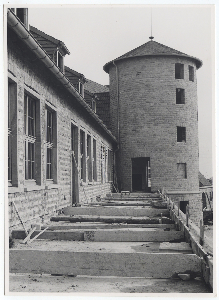 Fotograf: Hickstein, Carmen, Copyright: 1