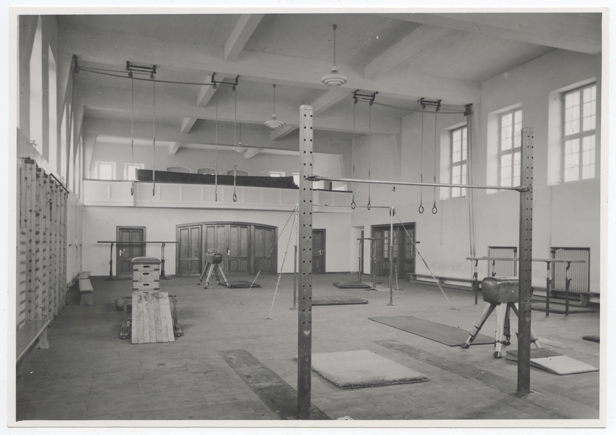 Fotograf: Hickstein, Carmen, Copyright: 1