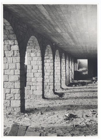 Fotograf: Hickstein, Carmen, Copyright: 1