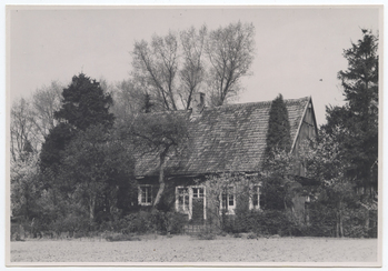 Fotograf: Hickstein, Carmen, Copyright: 1