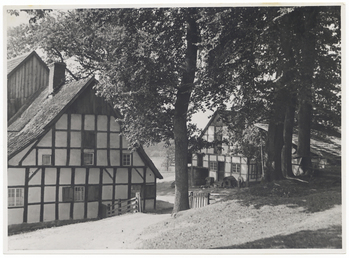 Fotograf: Hickstein, Carmen, Copyright: 1