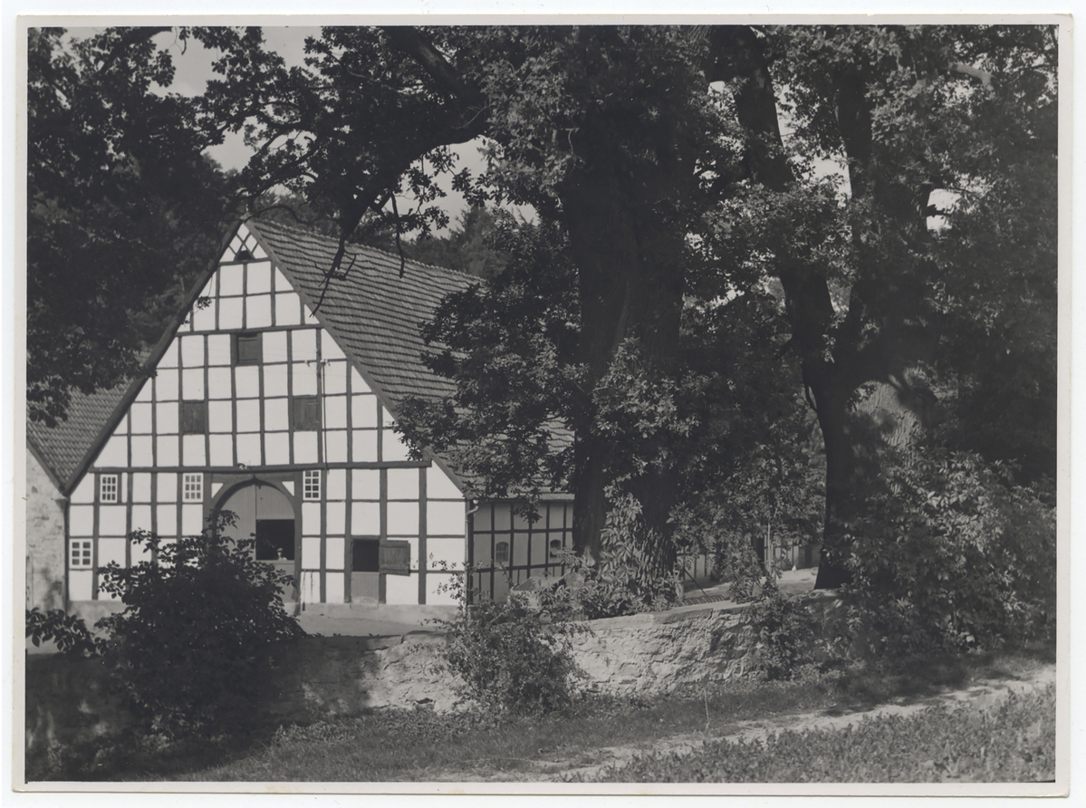 Fotograf: Hickstein, Carmen, Copyright: 1