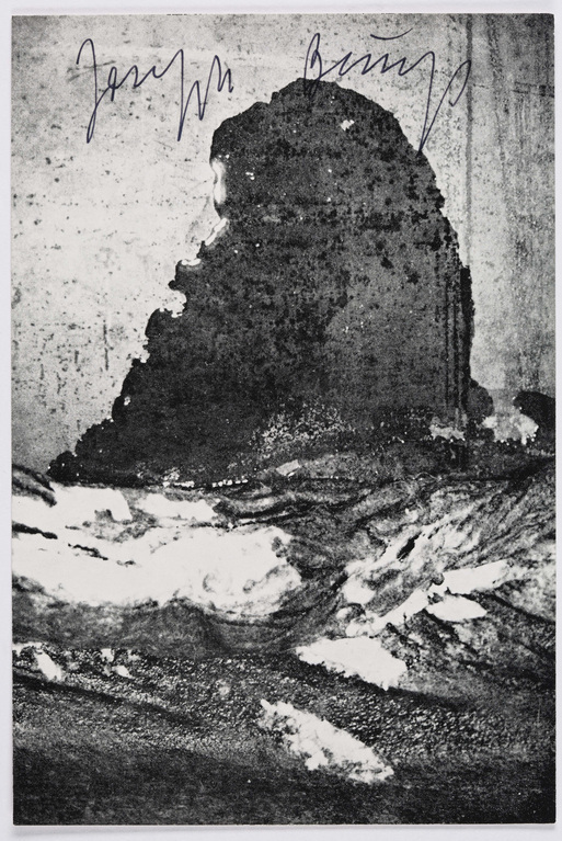 Fotograf: Neier, Anne}