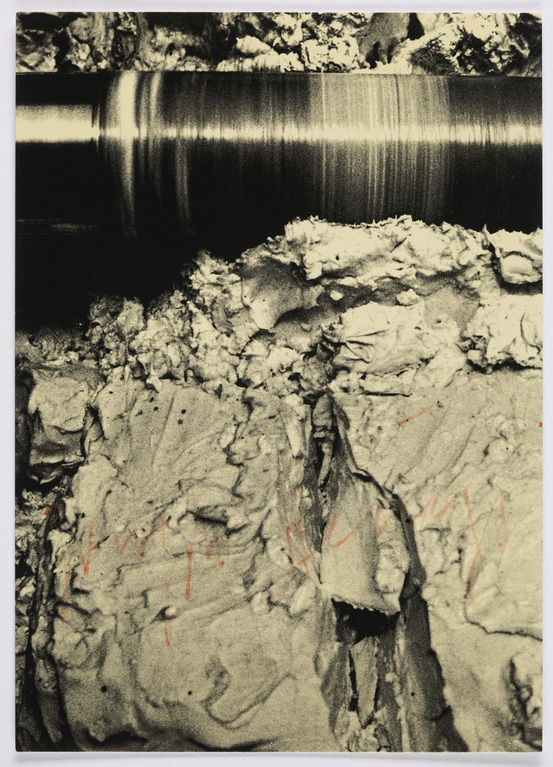 Fotograf: Neier, Anne}