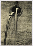 Fotograf: Neier, Anne}