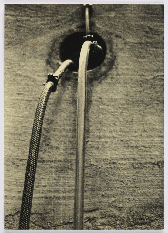 Fotograf: Neier, Anne}