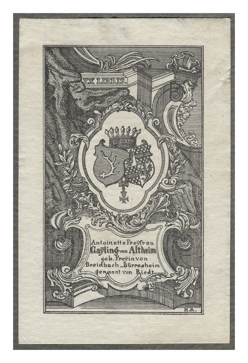 Fotograf: Hickstein, Carmen, Copyright: 1