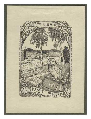 Fotograf: Hickstein, Carmen, Copyright: 1