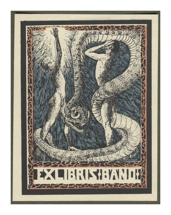 Fotograf: Hickstein, Carmen, Copyright: 1