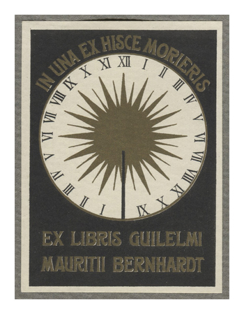 Fotograf: Hickstein, Carmen, Copyright: 1