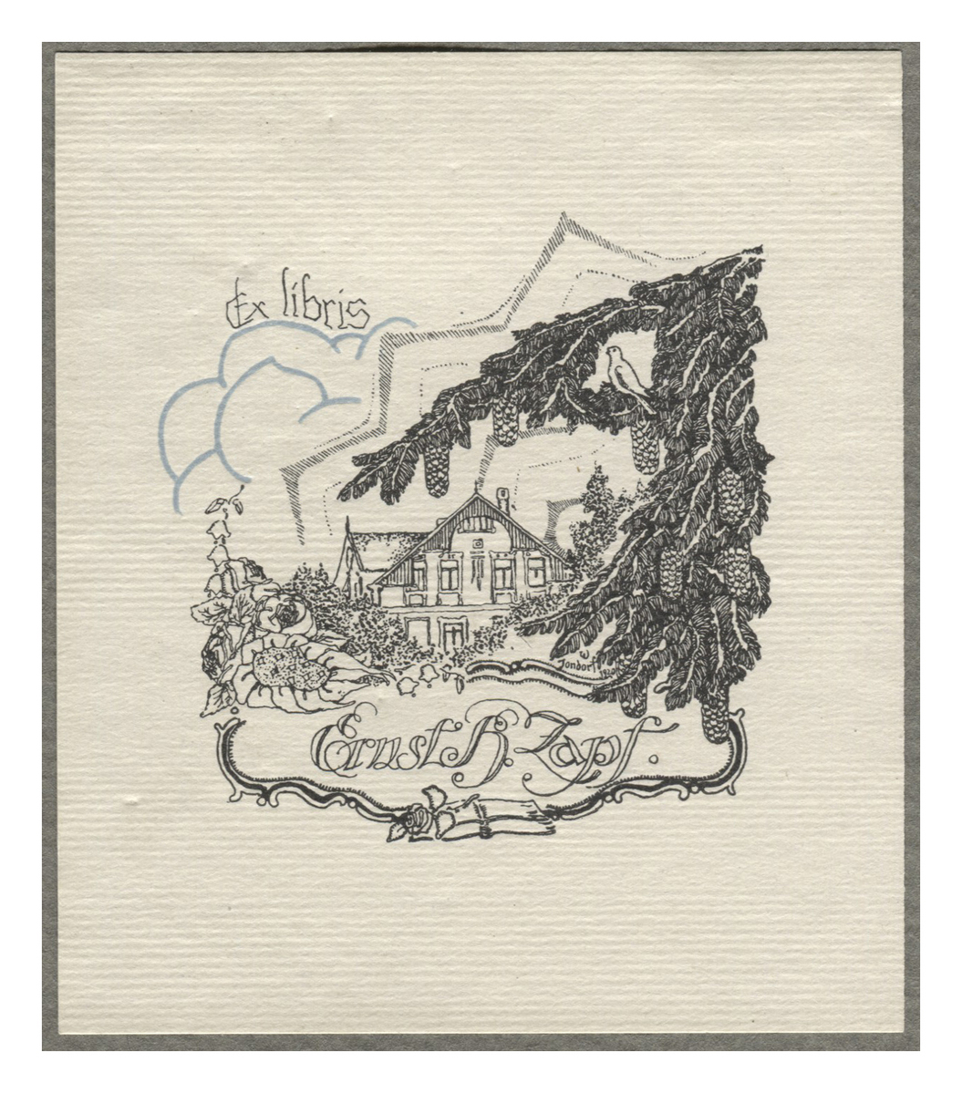 Fotograf: Hickstein, Carmen, Copyright: 1