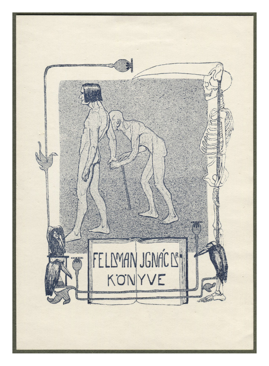 Fotograf: Hickstein, Carmen, Copyright: 1