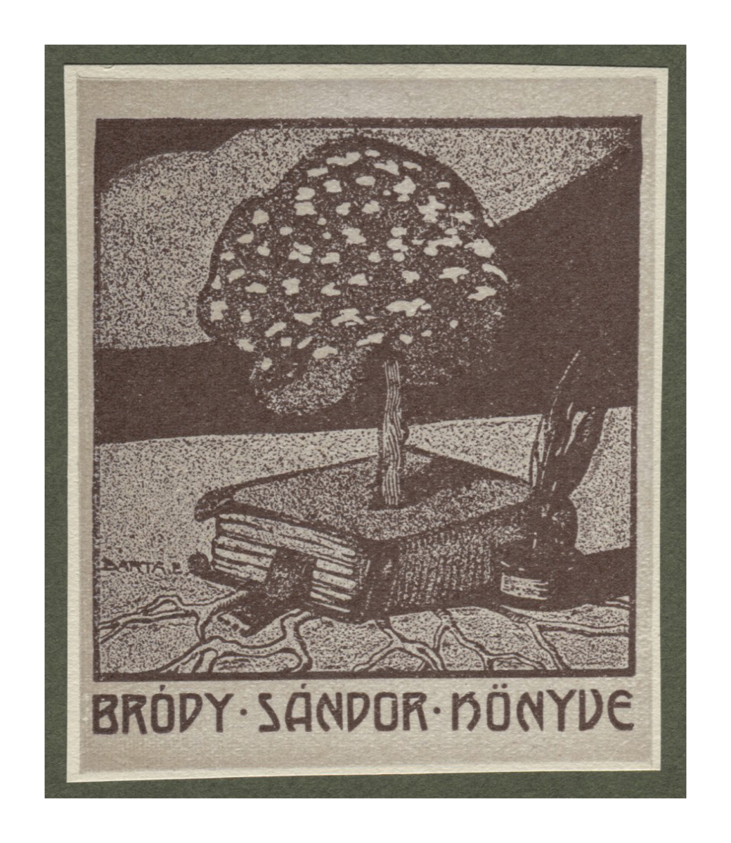 Fotograf: Hickstein, Carmen, Copyright: 1