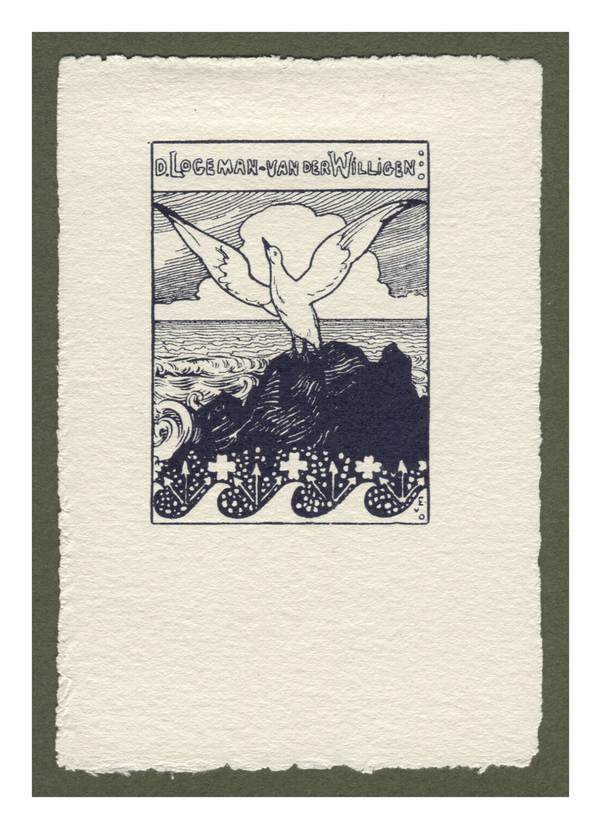 Fotograf: Hickstein, Carmen, Copyright: 1