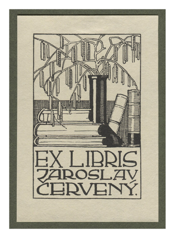 Fotograf: Hickstein, Carmen, Copyright: 1