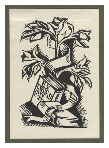 Fotograf: Hickstein, Carmen, Copyright: 1