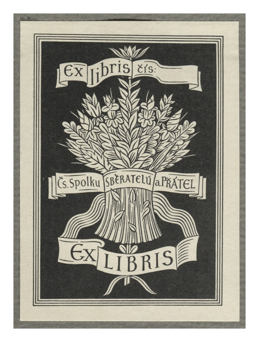 Fotograf: Hickstein, Carmen, Copyright: 1