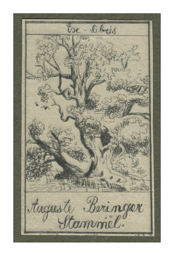 Fotograf: Hickstein, Carmen, Copyright: 1