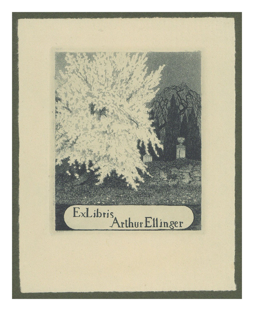 Fotograf: Hickstein, Carmen, Copyright: 1