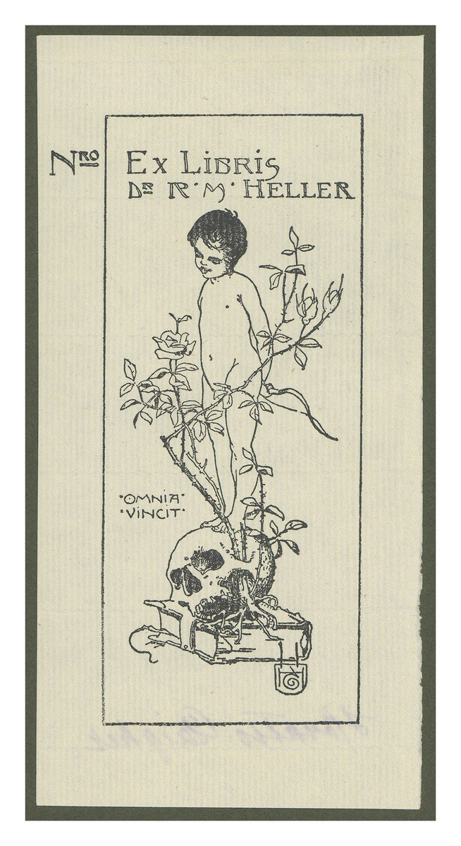 Fotograf: Hickstein, Carmen, Copyright: 1