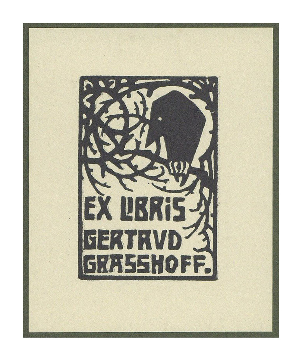 Fotograf: Hickstein, Carmen, Copyright: 1