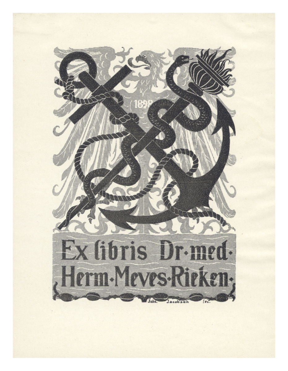 Fotograf: Hickstein, Carmen, Copyright: 1