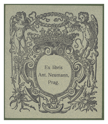 Fotograf: Hickstein, Carmen, Copyright: 1