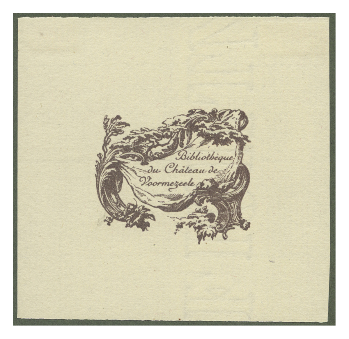 Fotograf: Hickstein, Carmen, Copyright: 1