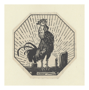 Fotograf: Hickstein, Carmen, Copyright: 1