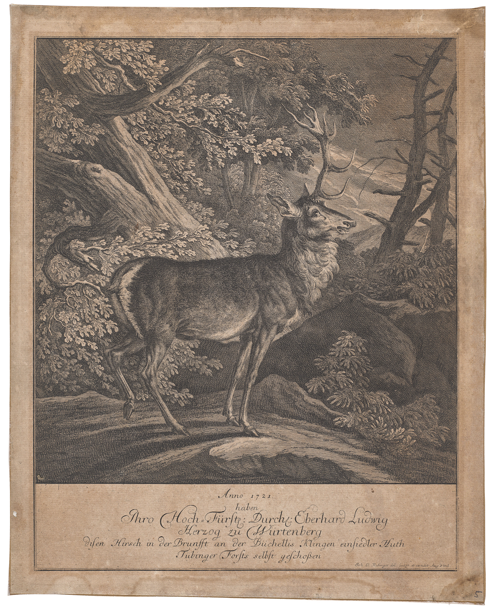 Fotograf: Neander, Hanna, Copyright: 1