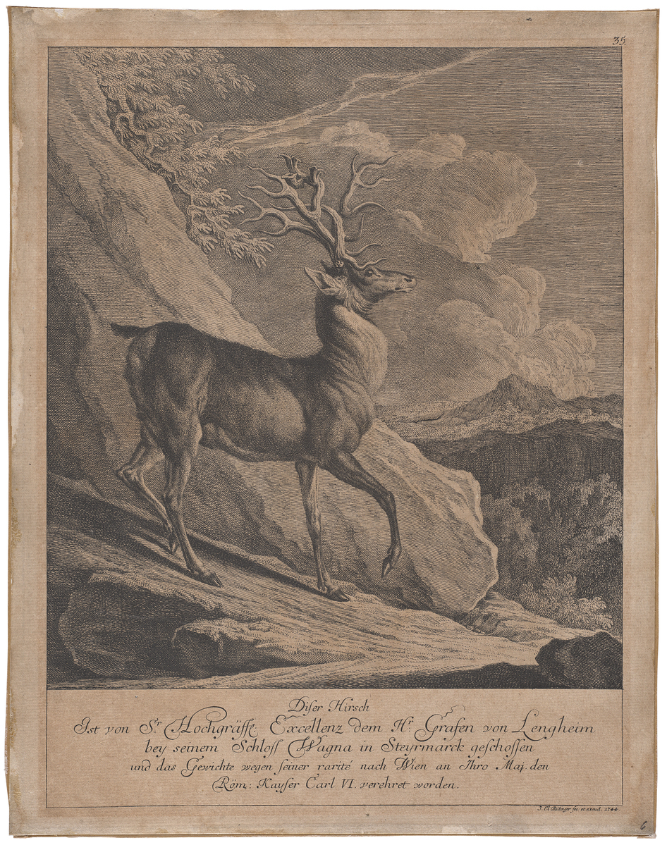 Fotograf: Neander, Hanna, Copyright: 1