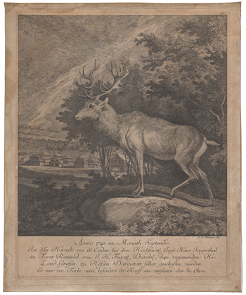 Fotograf: Neander, Hanna, Copyright: 1