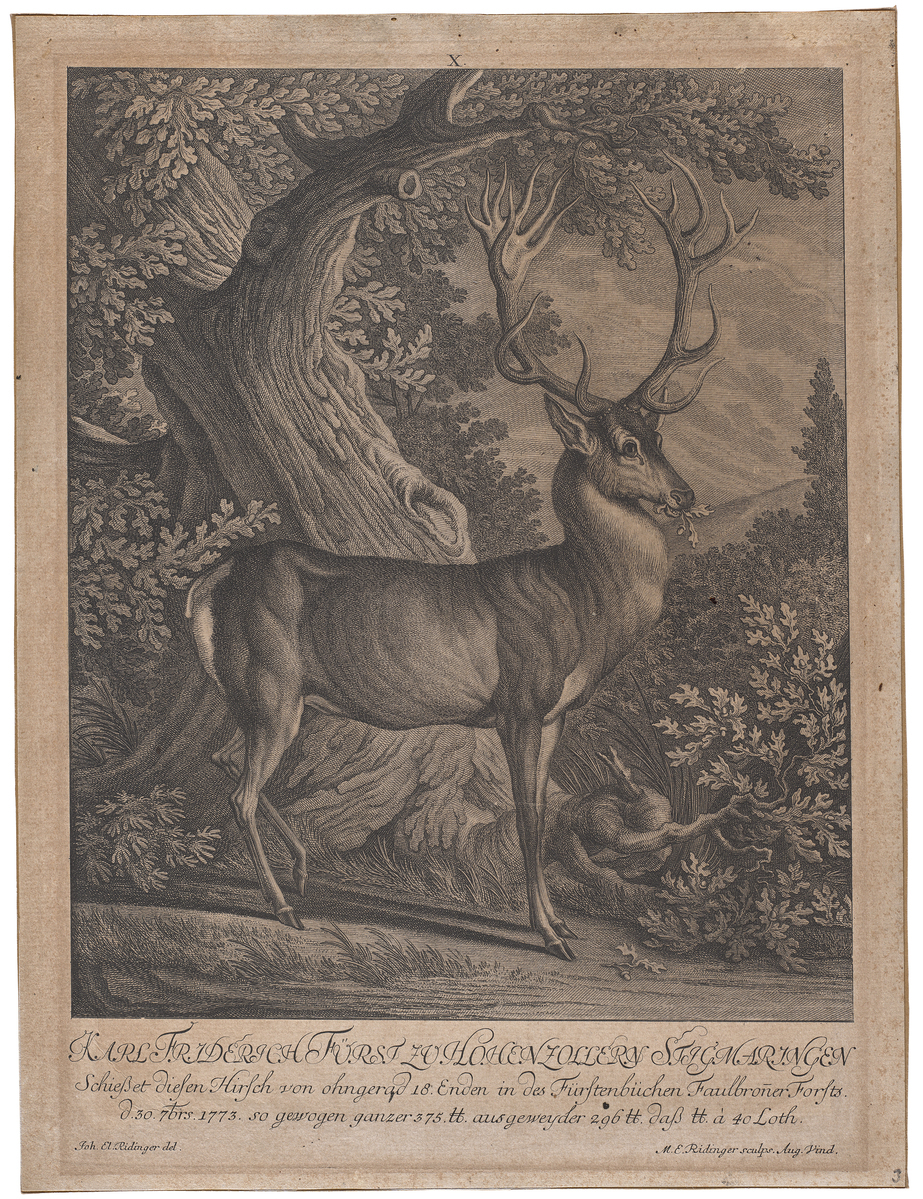 Fotograf: Neander, Hanna, Copyright: 1