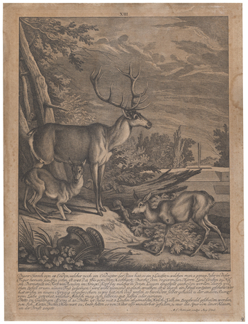 Fotograf: Neander, Hanna, Copyright: 1