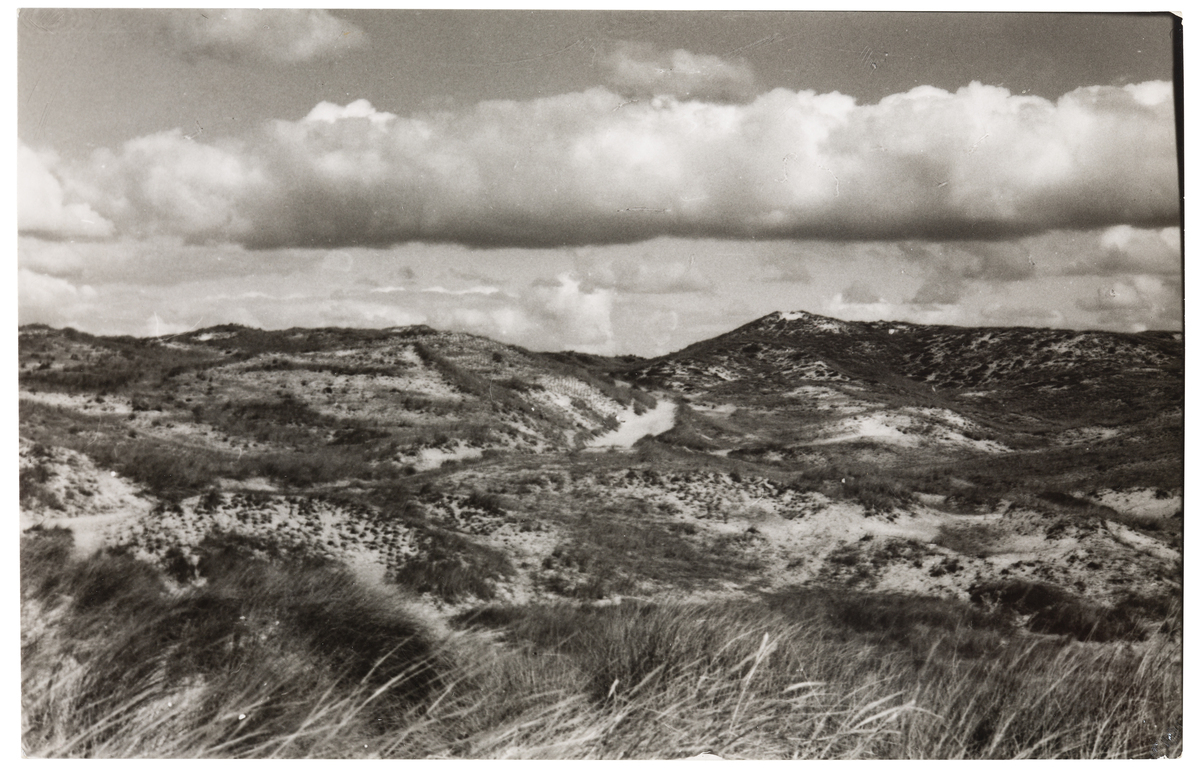 Fotograf: Neander, Hanna, Copyright: 1