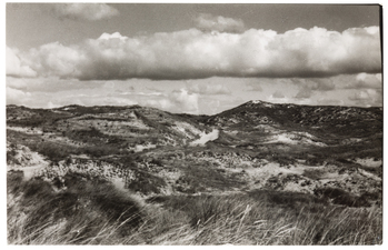 Fotograf: Neander, Hanna, Copyright: 1