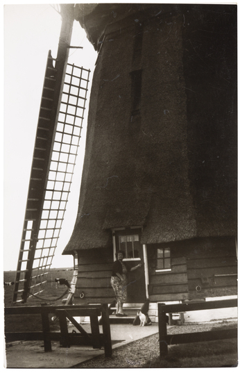 Fotograf: Neander, Hanna, Copyright: 1