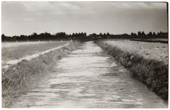 Fotograf: Neander, Hanna, Copyright: 1