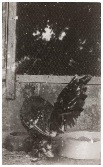 Fotograf: Neander, Hanna, Copyright: 1