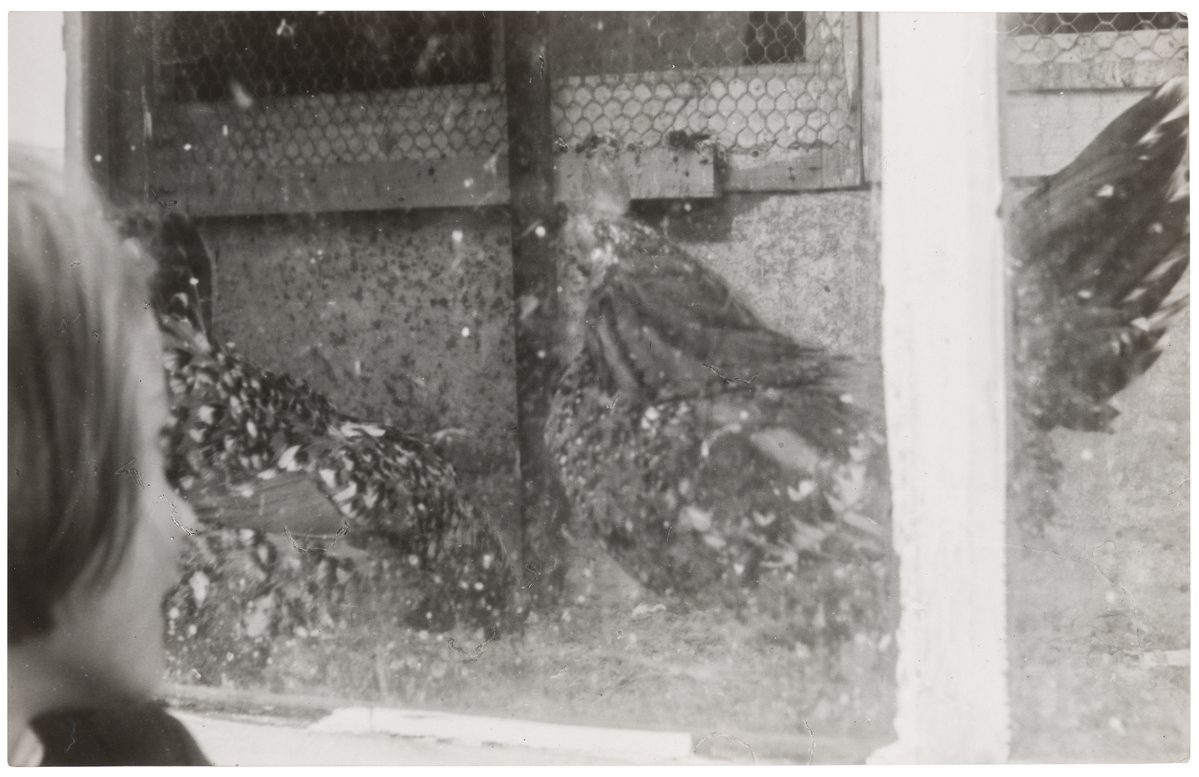 Fotograf: Neander, Hanna, Copyright: 1