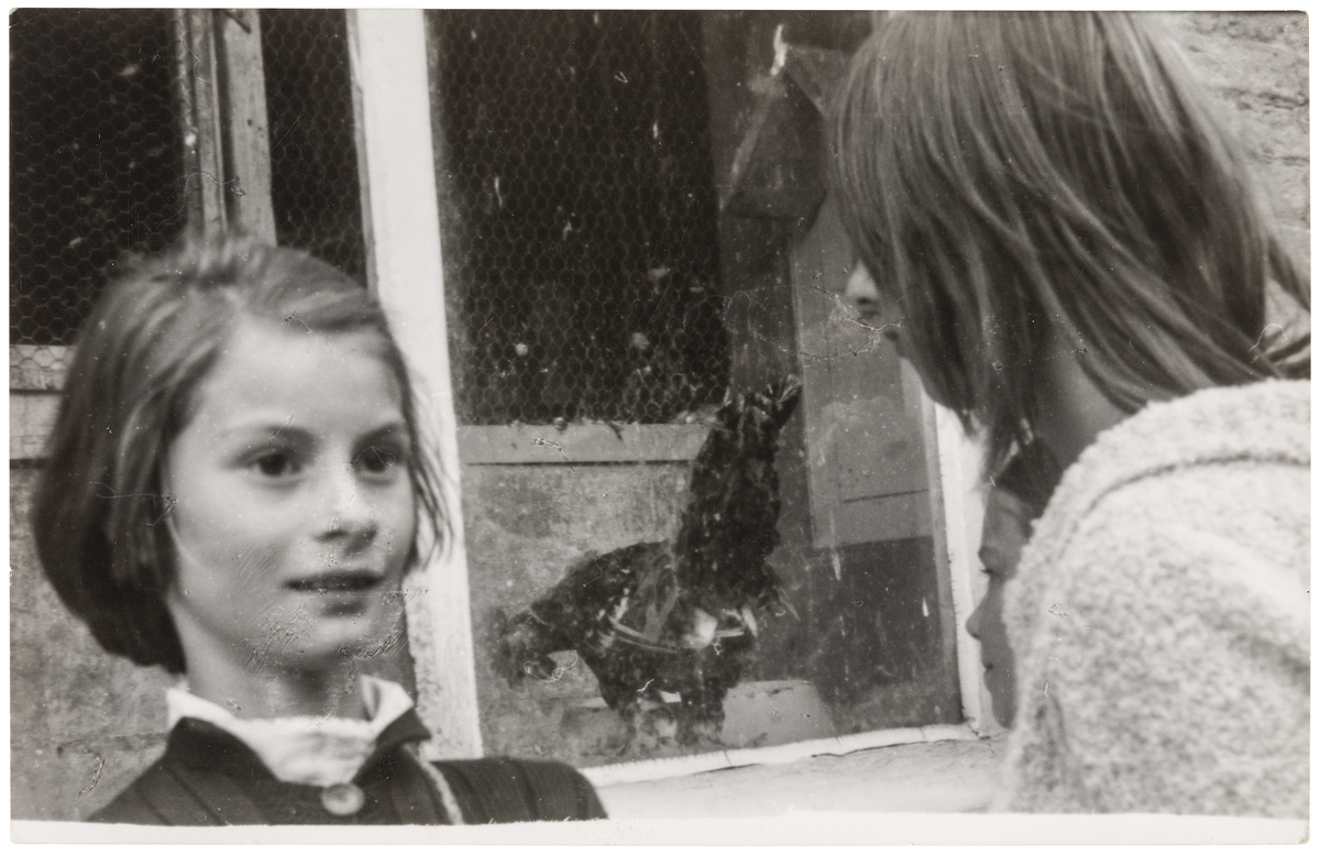 Fotograf: Neander, Hanna, Copyright: 1