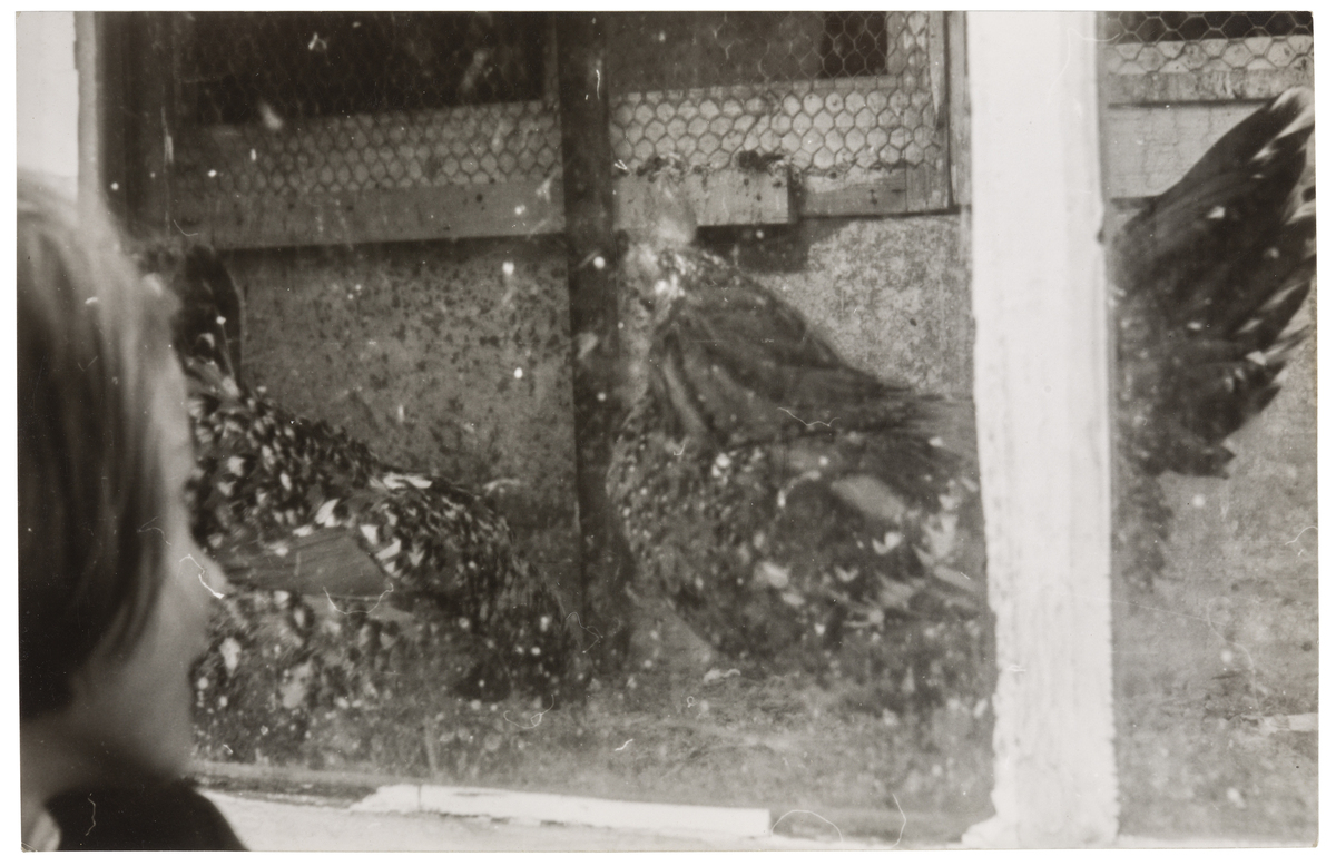 Fotograf: Neander, Hanna, Copyright: 1