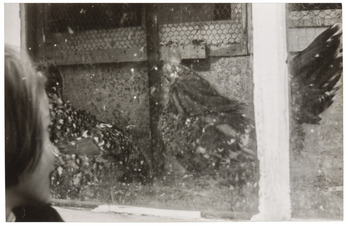 Fotograf: Neander, Hanna, Copyright: 1