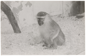 Fotograf: Neander, Hanna, Copyright: 1