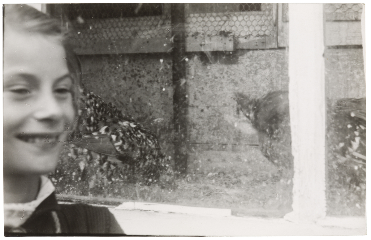 Fotograf: Neander, Hanna, Copyright: 1