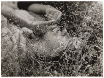 Fotograf: Neander, Hanna, Copyright: 1