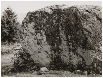 Fotograf: Neander, Hanna, Copyright: 1