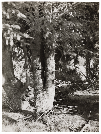 Fotograf: Neander, Hanna, Copyright: 1